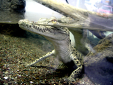 d0061338_362030.jpg