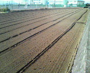f0115546_0204827.jpg
