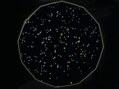 e0005548_2383874.gif