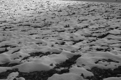 e0009049_1755209.jpg