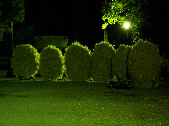 f0033856_0263565.jpg