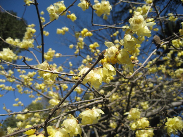 b0032079_0281562.jpg