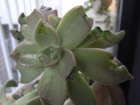 a0043982_2218486.jpg