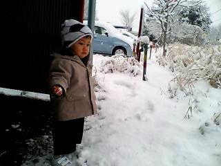 c0012888_1146667.jpg
