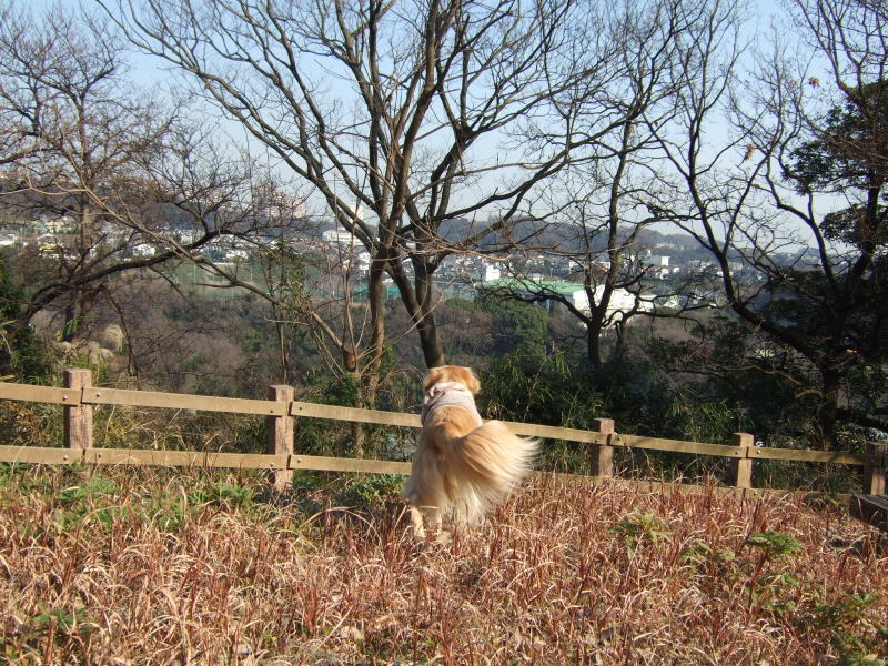 c0104492_214443.jpg