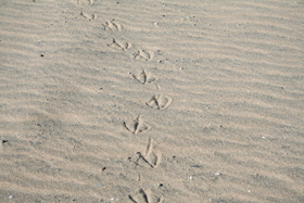 c0033994_3495914.jpg