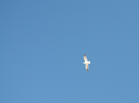 c0033994_36795.jpg