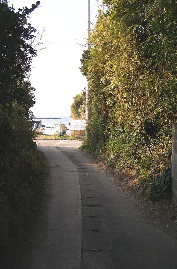c0008598_117497.jpg