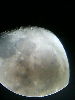 d0077699_1624171.jpg