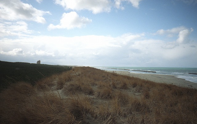 c0082800_1701393.jpg