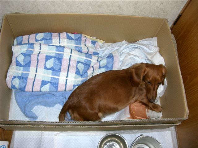 c0087001_2330186.jpg