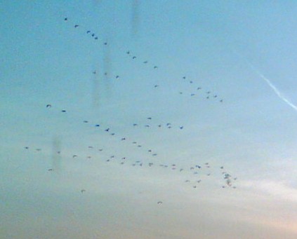 f0021504_4365670.jpg