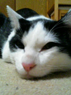 f0092906_01881.jpg