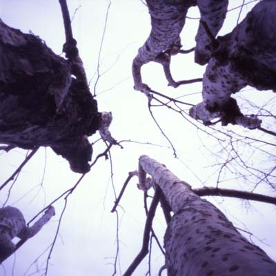 c0016712_172443.jpg