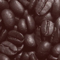 c0036617_20284773.jpg