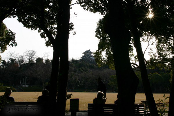 c0037519_062376.jpg