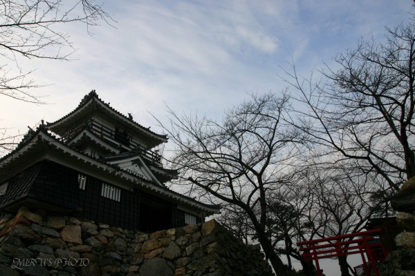 c0037519_06379.jpg