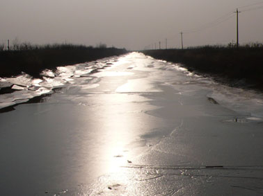 c0072829_4224367.jpg