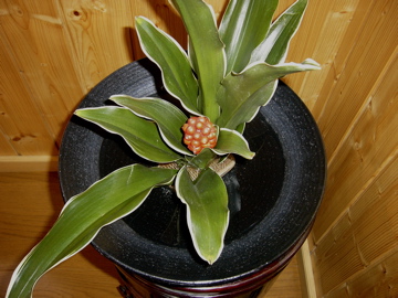 f0045433_0281954.jpg