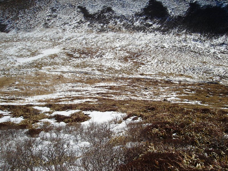 f0039234_10171325.jpg