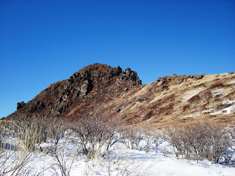f0039234_10203557.jpg