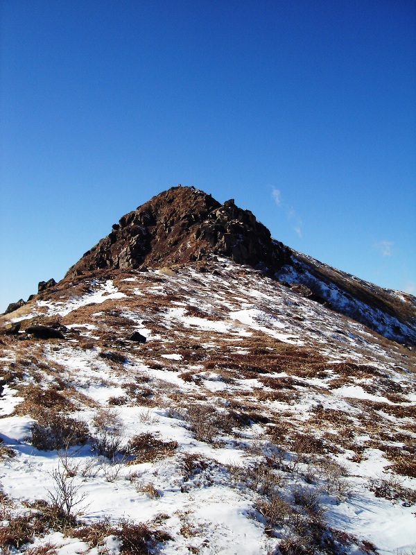 f0039234_1021378.jpg