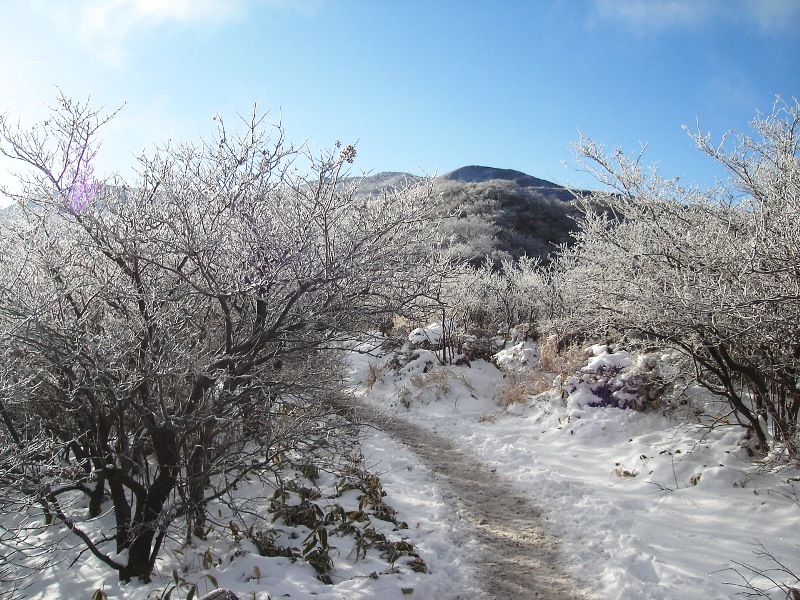 f0039234_10261166.jpg