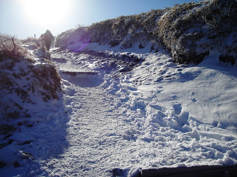 f0039234_10264745.jpg