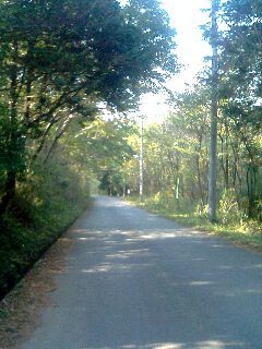 b0036340_1726159.jpg
