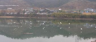 c0085543_22213275.jpg
