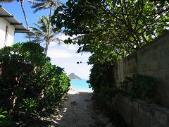 d0047944_2234971.jpg