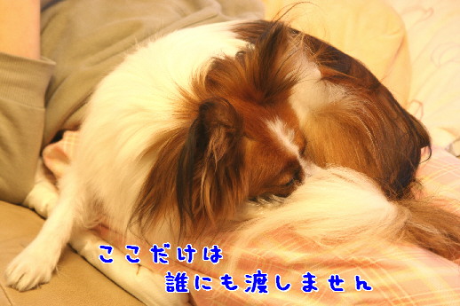 d0013149_044635.jpg