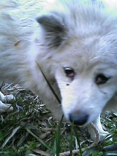 e0107049_18231823.jpg