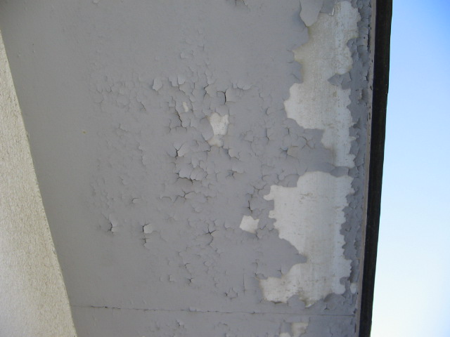 b0071653_2062795.jpg
