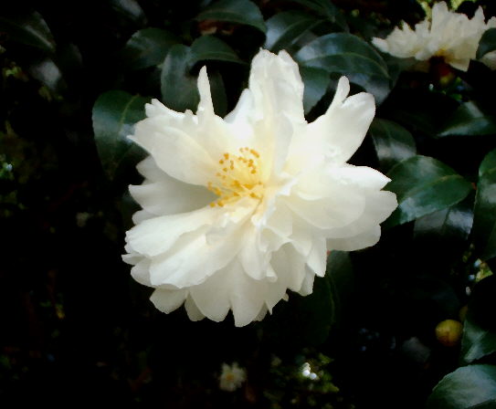 d0091754_265399.jpg