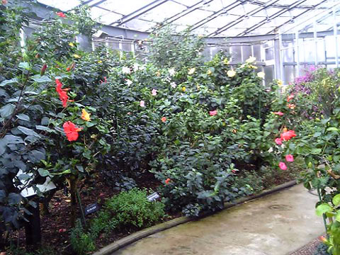 b0101263_1684785.jpg