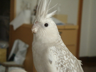 a0087164_2285638.jpg