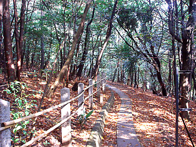 d0013068_18571999.jpg
