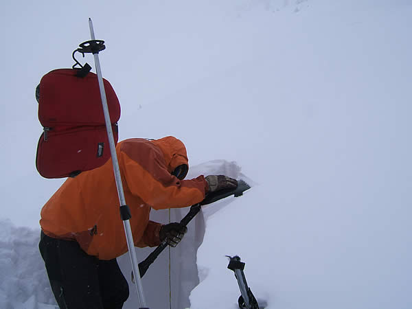 d0079579_920829.jpg