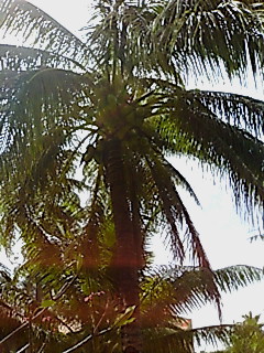 c0096582_18211173.jpg