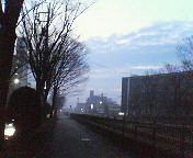 e0017290_10215210.jpg