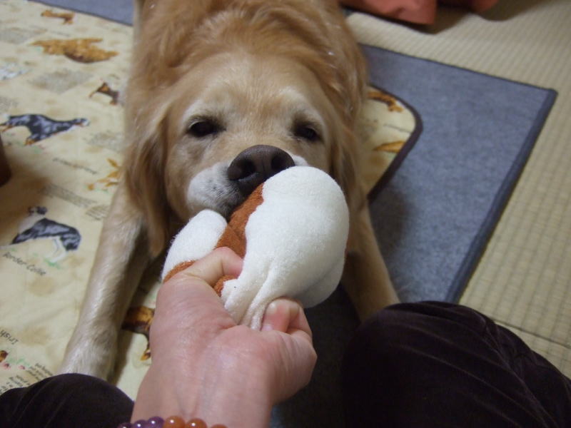 c0104492_1446467.jpg