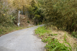 c0043094_21242047.jpg