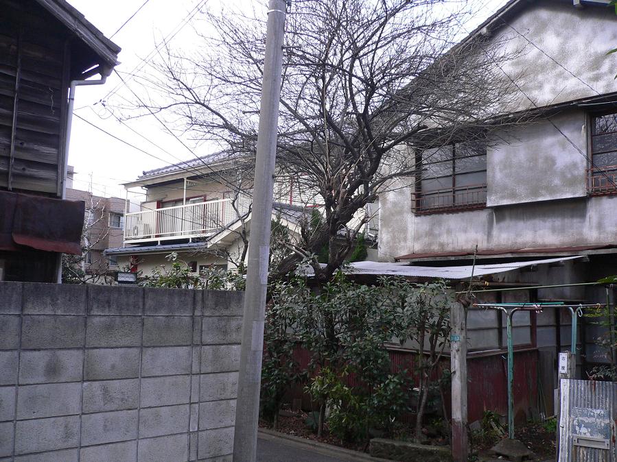 c0072801_20333758.jpg