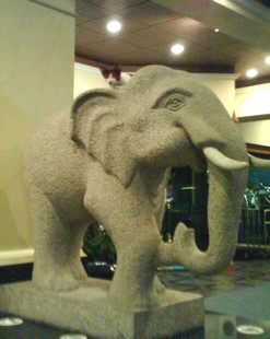 e0007801_6375379.jpg