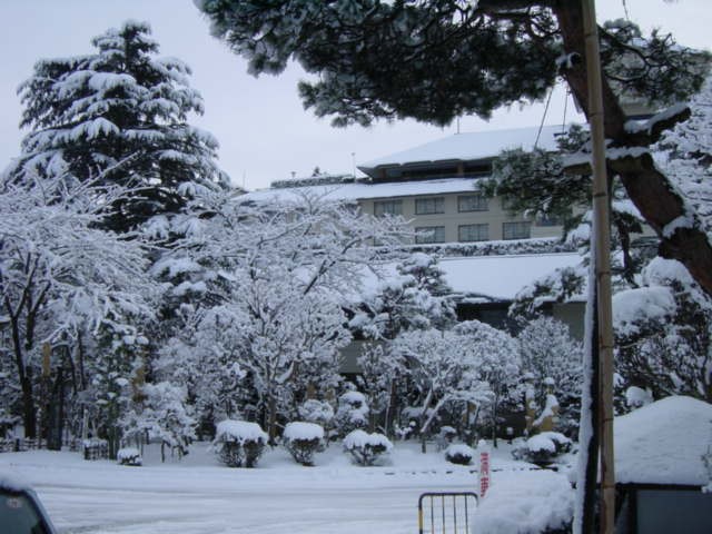 b0083902_21385.jpg