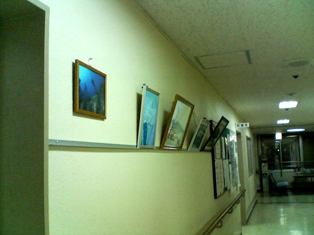 a0082706_23374656.jpg