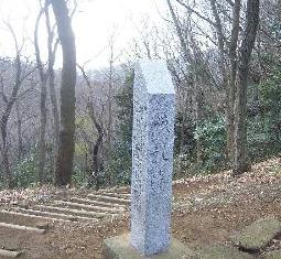 f0040310_1113021.jpg