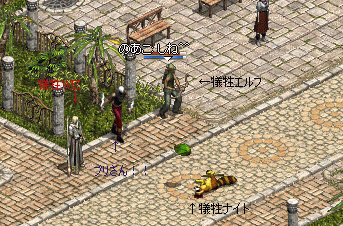 b0081828_145412.gif