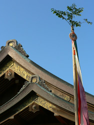 b0090333_2195532.jpg